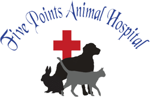 Five Points Animal Hospital